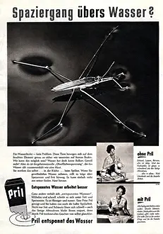 Pril: advertising, household, Pril, advertisement in