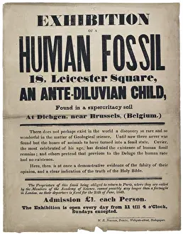Handbill: Advertisement for a Human Fossil