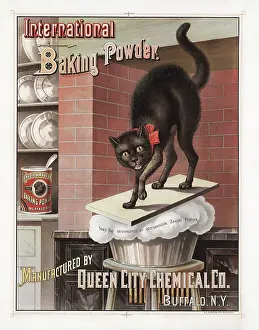 Introduction: Advertisement for International Brand Baking Powder