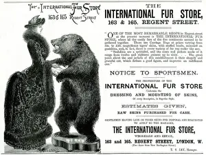Bustles: Advert for International Fur Store 1882