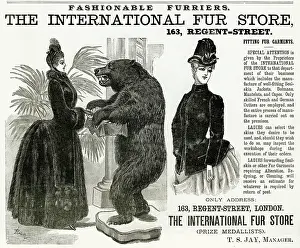 Bustles: Advert for International Fur Store 1886