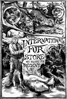 Beavers: Advert for International Fur Store 1888