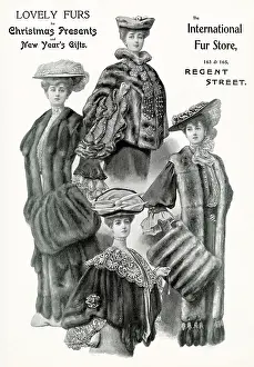 Stoles: Advert for International Fur Store 1903