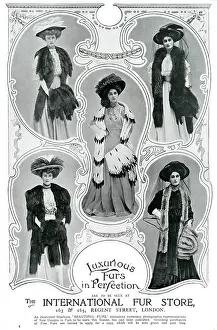 Stoles: Advert for International Fur Store 1907