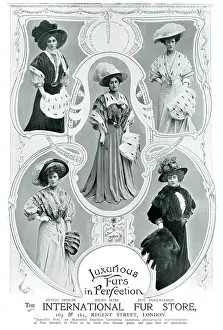 Stoles: Advert for International Fur Store 1907