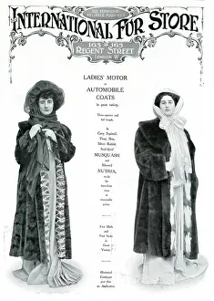 Musquash: Advert for International Fur Store 1908
