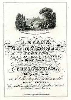 Contract: Advert, J Evans, Nursery & Seedsman