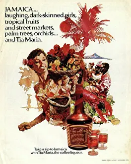Lobster: Advertisement for Jamaica and Tia Maria