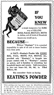 Fleas: Advertisement for Keating's Powder
