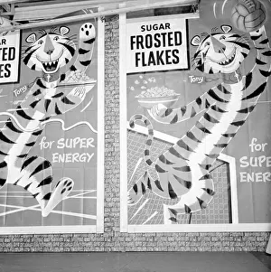 Flakes: Advertisement for Kelloggs breakfast cereals