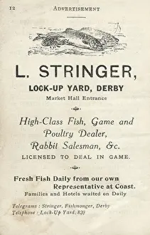 Licensed: Advertisement for L Stringer, fish, game and poultry dealer