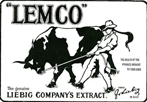 Extract: Advertisement for Lemco, the Liebig Company's