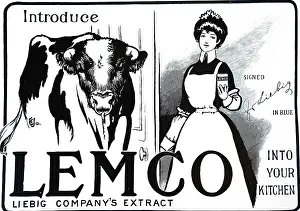 Extract: An advertisement for Liebig Meat Extracts