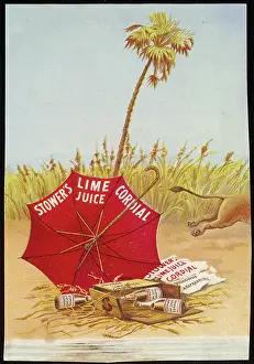 Delicious: ADVERT/LIME JUICE 3/5