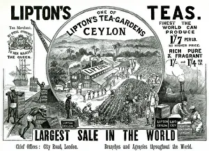 Teas: Advert for Lipton's Teas 1896