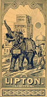 Teas: Advertisement for Lipton's Teas
