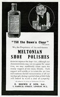 Polishes: Advertisement for Meltonian Shoe Polishes
