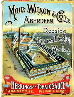Provision: Advert, Moir, Wilson & Co Ltd, Aberdeen, Scotland
