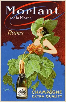 Champers: Advertisement - Morlant Champers