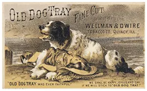 Wellman: ADVERT FOR OLD DOG TRAY