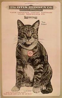 Otis: Ad for Otis Hidden Company with Cat