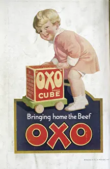 Grocery: Advert for Oxo Cubes