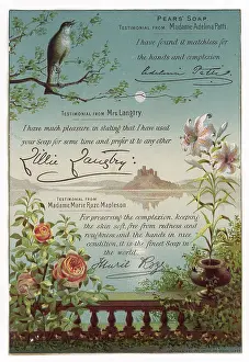 Langtry: Advert for Pears Soap
