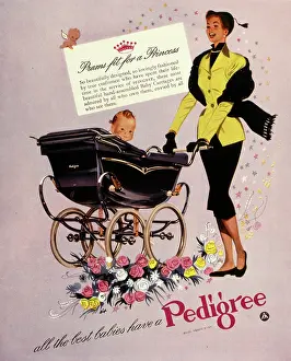 Prams: Advertisement for Pedigree prams