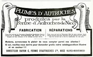Breeder: Advert for Plumes D'autruches 1912