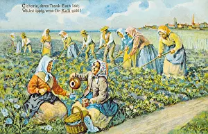 Labours: advertising, postcard, advertising postcard of