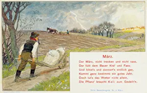 Syndicate: advertising, postcard, advertising postcard of