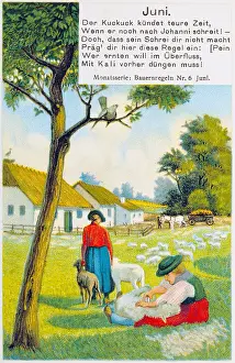 Syndicate: advertising, postcard, advertising postcard of