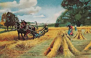 Syndicate: advertising, postcard, advertising postcard of