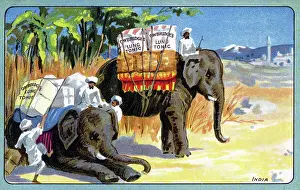Coughs: Advertising postcard for Owbridge's Lung Tonic - India
