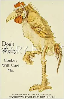 ADVERT/POULTRY REMEDIES