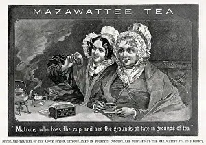Prediction: Advert, Reading the Tea Leaves, Mazawattee Tea Co