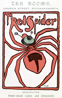 Spiders: ADVERT/RED SPIDER CAFE