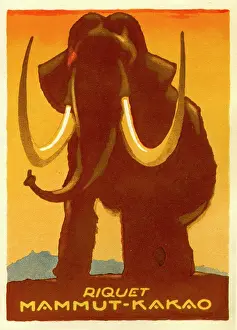 Confectionary: An advertisement for Riquet Mammoth chocolate