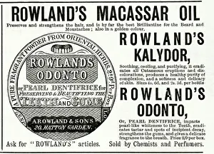 Rowlands: Advert for Rowland's Macassar Oil 1890
