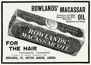 Preserves: Advert for Rowlands Macassar Oil 1902