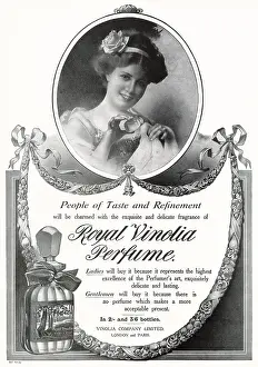 Bottles: Advert for Royal Vinolia - Perfume 1911