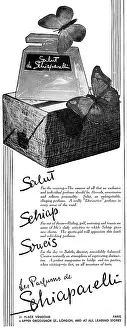 Parfum: Advertisement for Salut de Schiaparelli