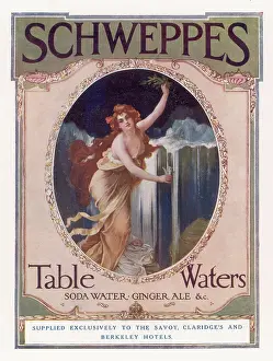Exclusively: ADVERT/SCHWEPPES TABLE W
