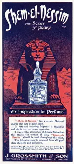 Fragrance: Advert for Shem-el-Nessim - Perfume 1910