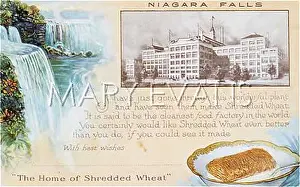 Shredded: ADVERT/SHREDDED WHEAT