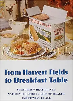 Shredded: ADVERT/SHREDDED WHEAT
