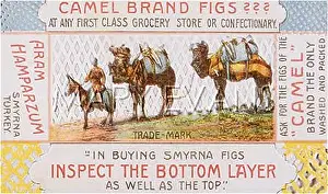 Figs: ADVERT/SMYRNA FIGS
