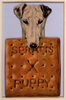 Spratts: Advert for Spratt's dog biscuits