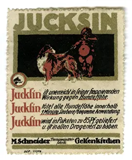 Gelsenkirchen: advertising, stamps, Jucksin, against dog flea