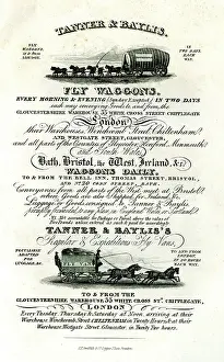 Wagons: Advert for Tanner & Baylis Fly Waggons